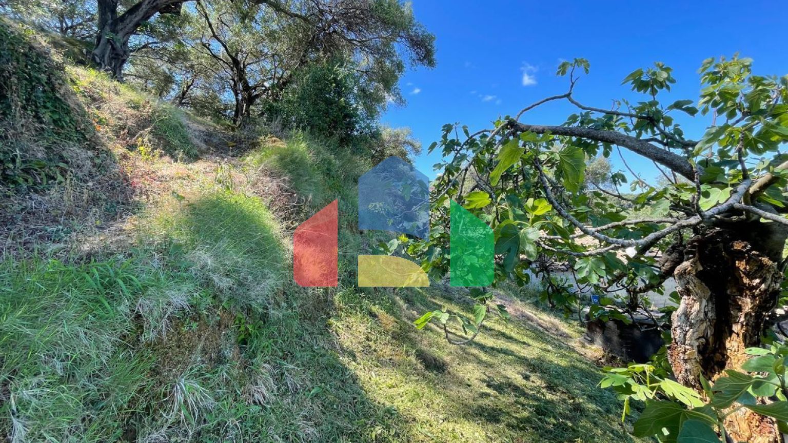 Продажа - Земельный участок 4132 m² на о. Корфу