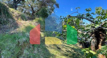 Продажа - Земельный участок 4132 m² на о. Корфу