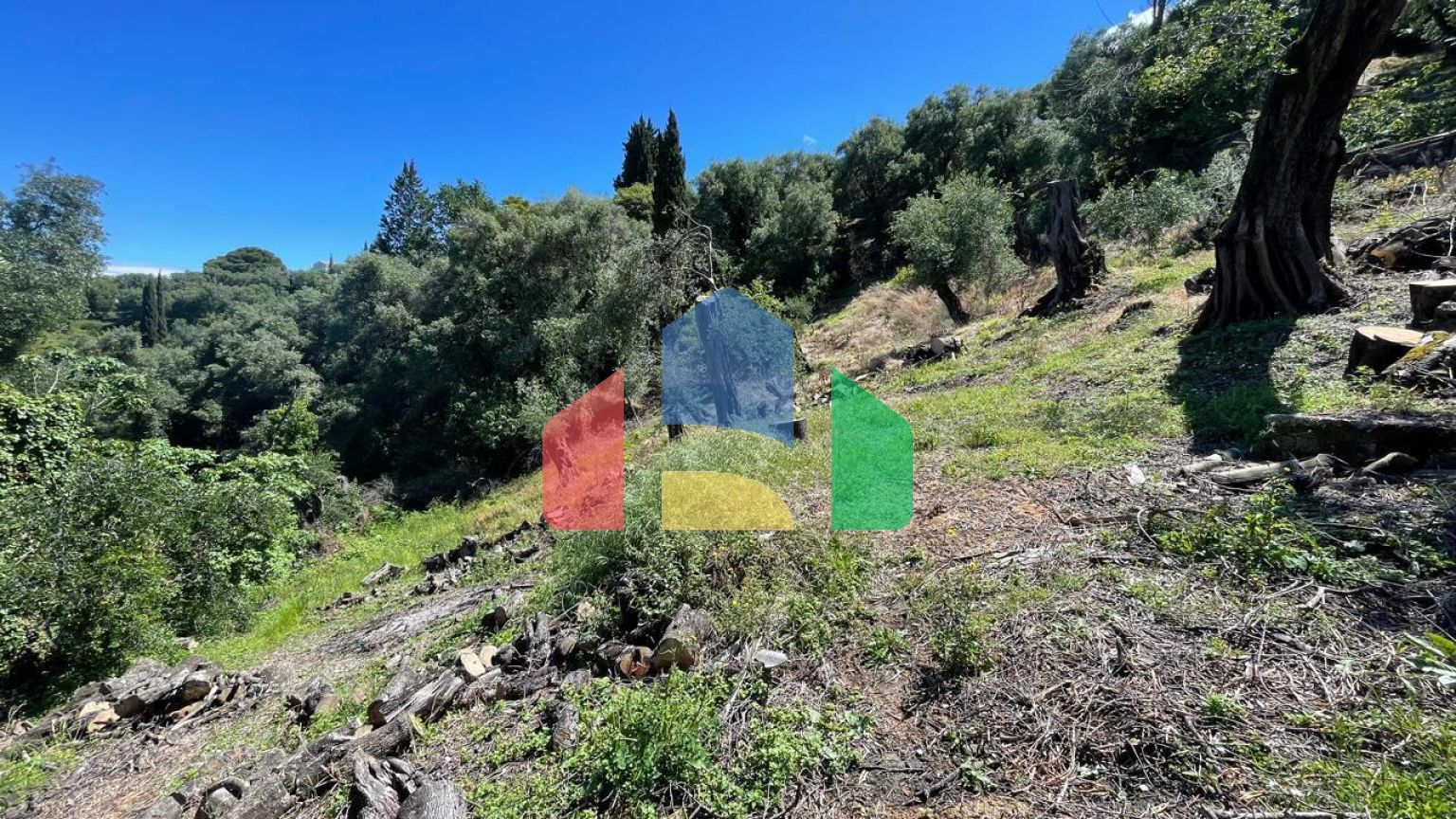 Продажа - Земельный участок 4132 m² на о. Корфу