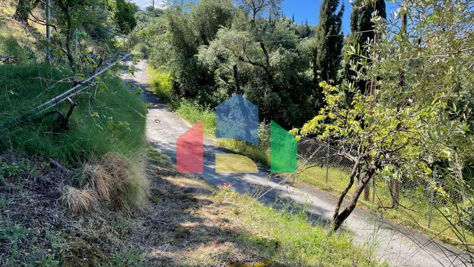 Продажа - Земельный участок 4132 m² на о. Корфу