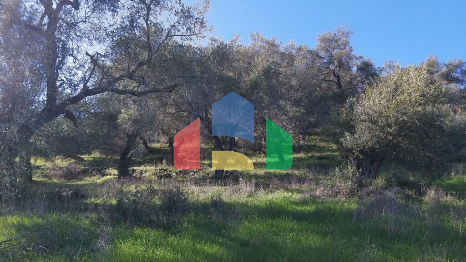 Продажа - Земельный участок 25000 m² на о. Корфу