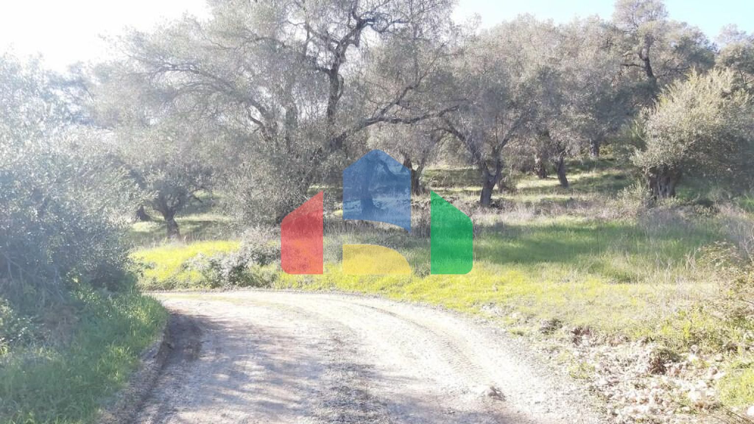 Продажа - Земельный участок 25000 m² на о. Корфу