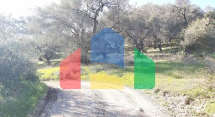 Продажа - Земельный участок 25000 m² на о. Корфу Продажа - Земельный участок 25000 m² на о. Корфу