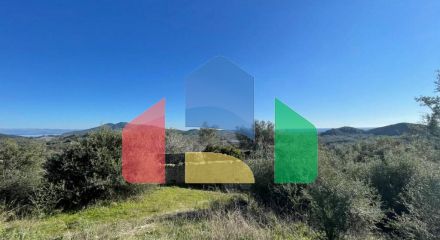 Продажа - Земельный участок 25000 m² на о. Корфу Продажа - Земельный участок 25000 m² на о. Корфу