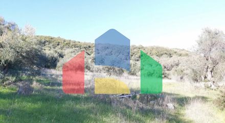 Продажа - Земельный участок 25000 m² на о. Корфу Продажа - Земельный участок 25000 m² на о. Корфу