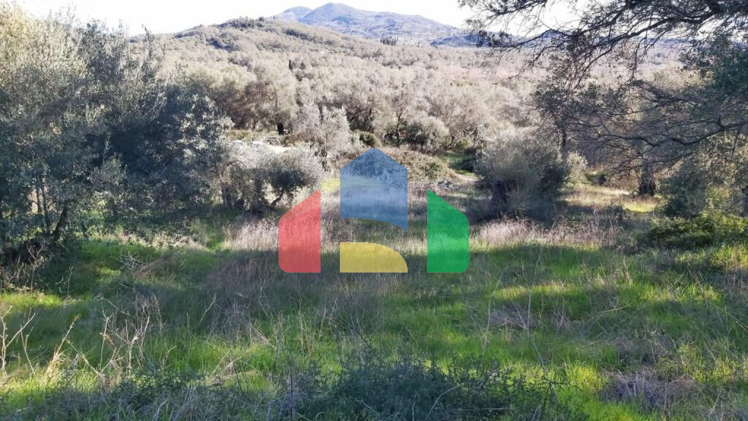 Продажа - Земельный участок 25000 m² на о. Корфу