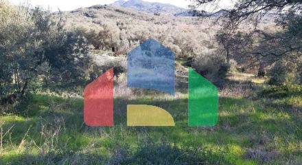 Продажа - Земельный участок 25000 m² на о. Корфу Продажа - Земельный участок 25000 m² на о. Корфу