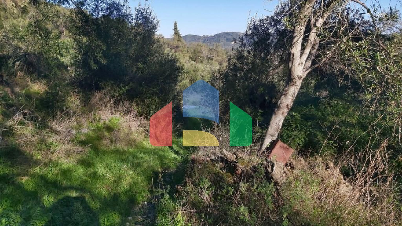 Продажа - Земельный участок 25000 m² на о. Корфу