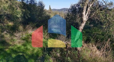 Продажа - Земельный участок 25000 m² на о. Корфу Продажа - Земельный участок 25000 m² на о. Корфу