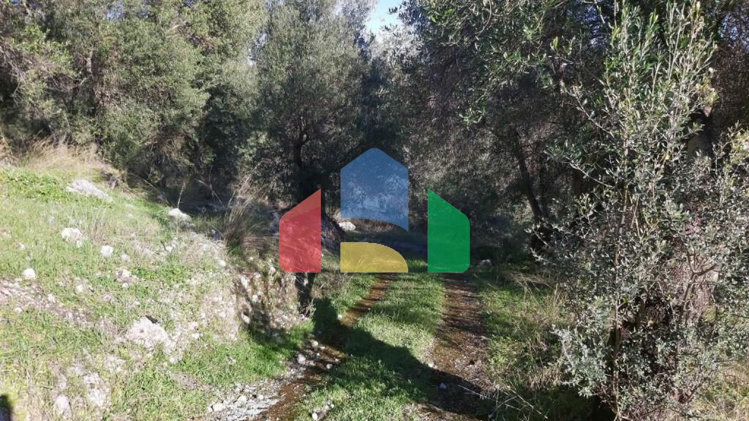 Продажа - Земельный участок 25000 m² на о. Корфу