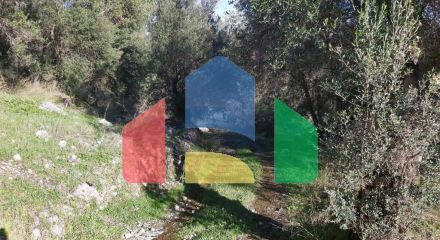 Продажа - Земельный участок 25000 m² на о. Корфу Продажа - Земельный участок 25000 m² на о. Корфу