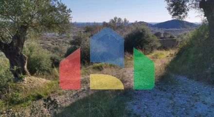 Продажа - Земельный участок 25000 m² на о. Корфу Продажа - Земельный участок 25000 m² на о. Корфу