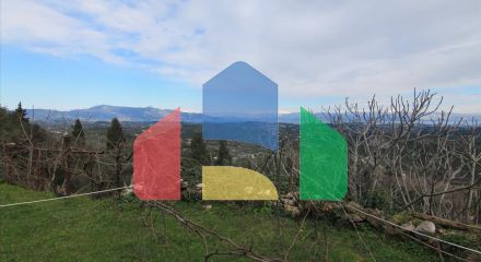 Продажа - Земельный участок 9500 m² на о. Корфу