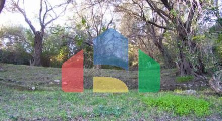 Продажа - Земельный участок 76000 m² на о. Корфу Продажа - Земельный участок 76000 m² на о. Корфу