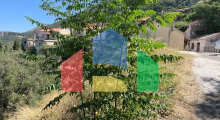 Продаж - Земельна ділянка 3584 m² на о. Корфу