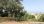 For Sale - Land 2245 m² in Corfu