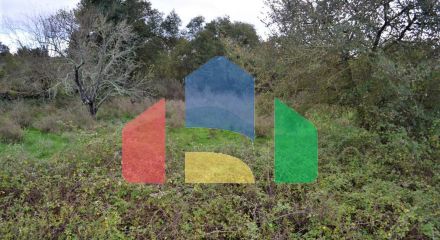 For Sale - Land 4200 m² in Corfu