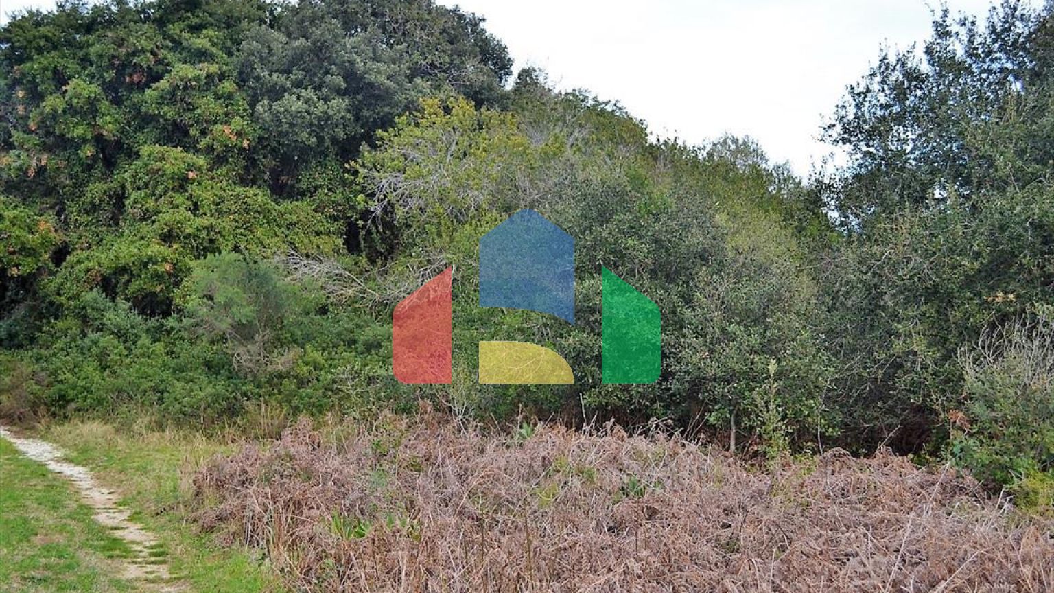 Продаж - Земельна ділянка 5500 m² на о. Корфу