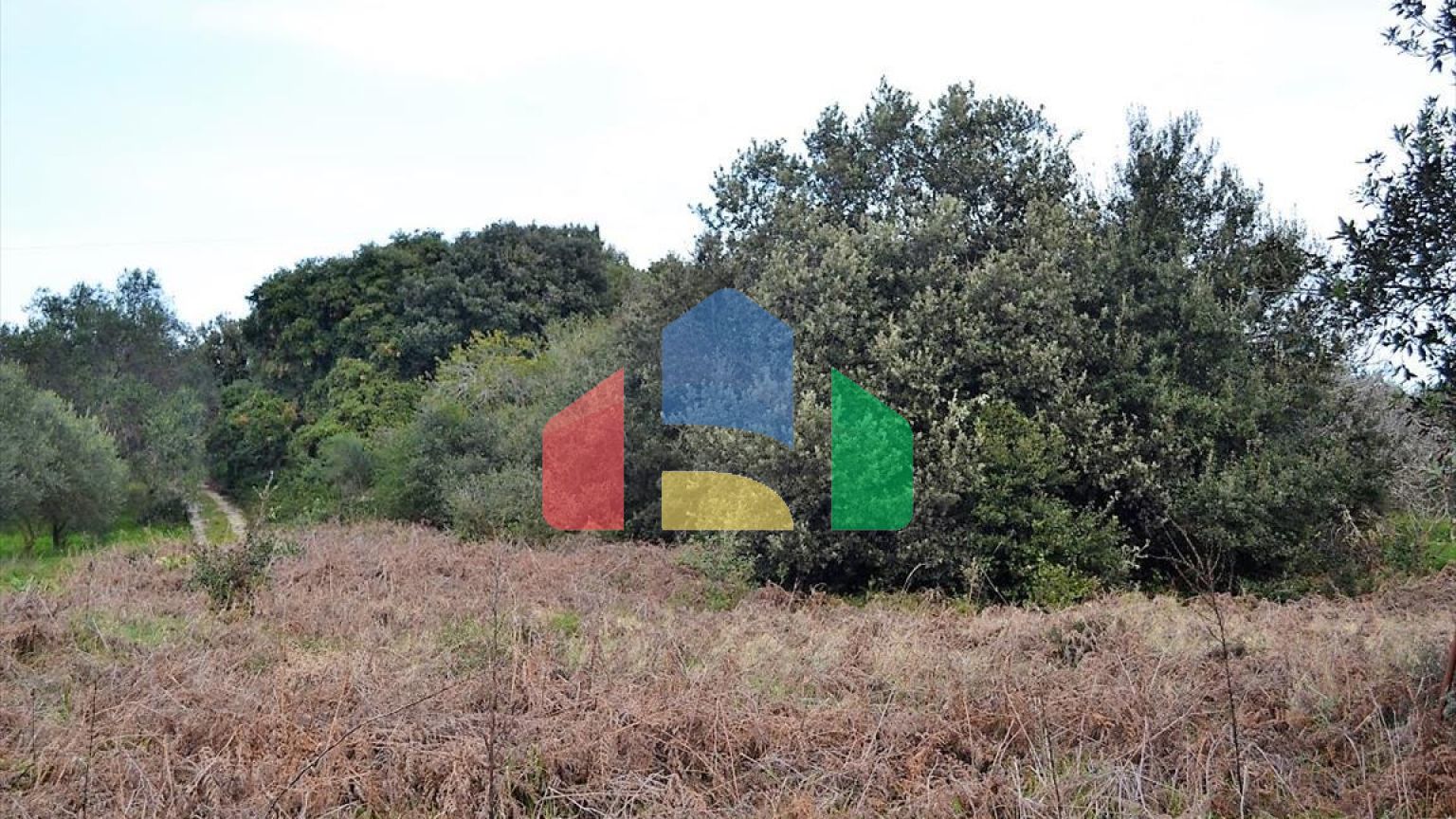 Продаж - Земельна ділянка 5500 m² на о. Корфу