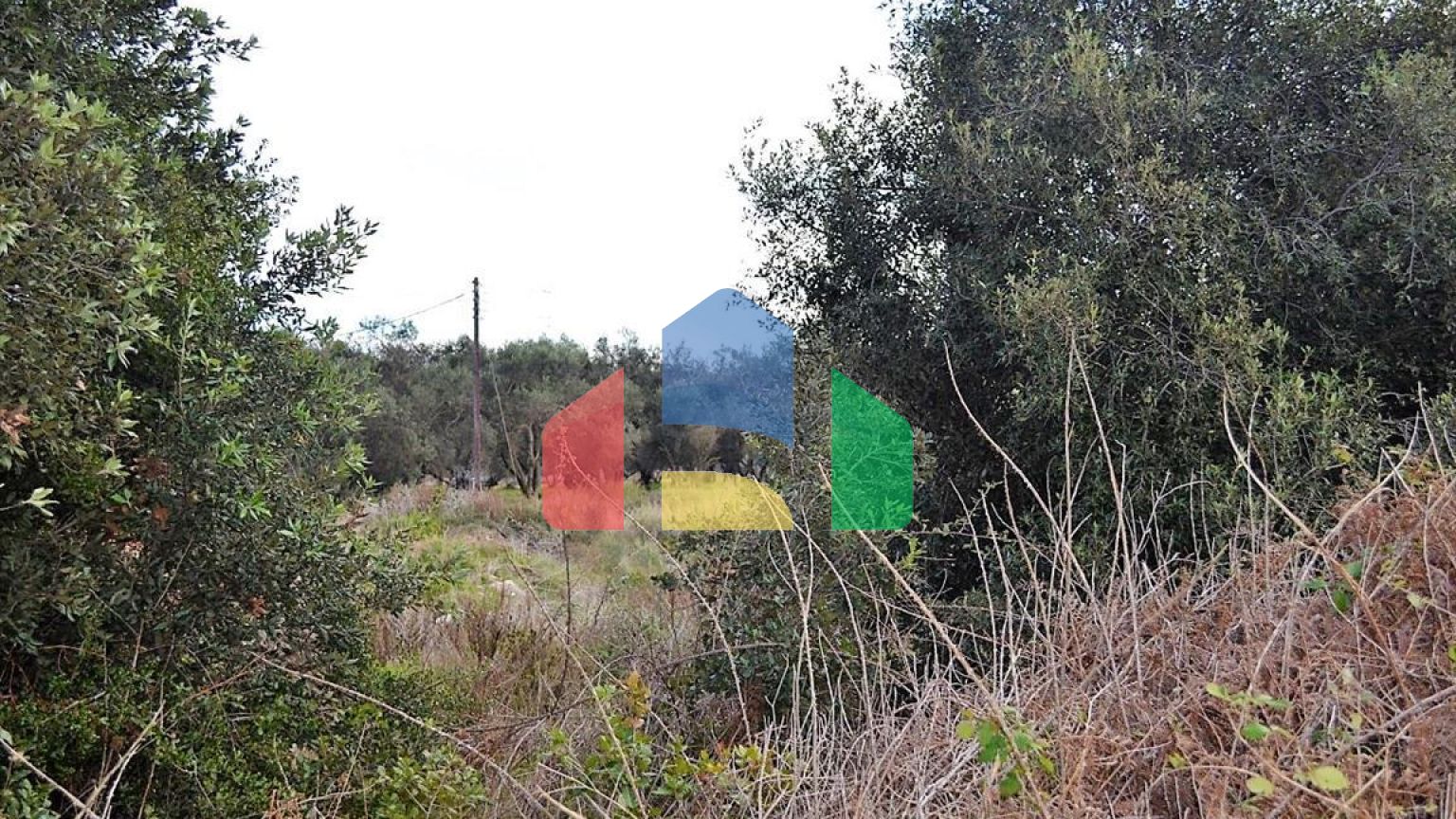 Продаж - Земельна ділянка 5500 m² на о. Корфу