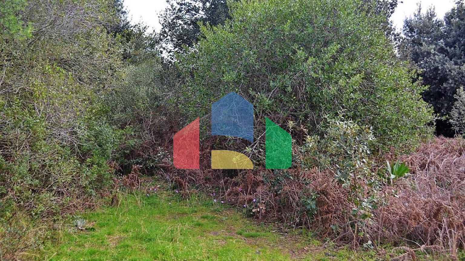 Продаж - Земельна ділянка 5500 m² на о. Корфу