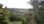 For Sale - Land 4370 m² in Corfu