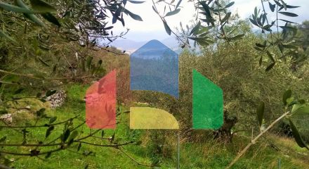 For Sale - Land 4363 m² in Corfu