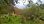 For Sale - Land 4363 m² in Corfu