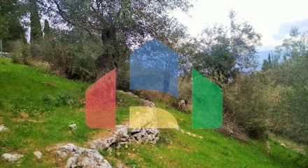 For Sale - Land 4363 m² in Corfu