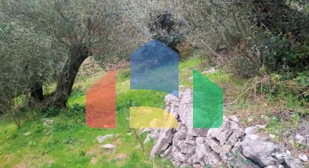 For Sale - Land 4363 m² in Corfu