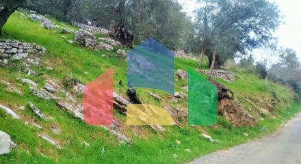 For Sale - Land 4363 m² in Corfu