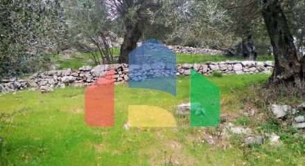For Sale - Land 4363 m² in Corfu