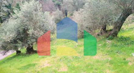 For Sale - Land 4363 m² in Corfu