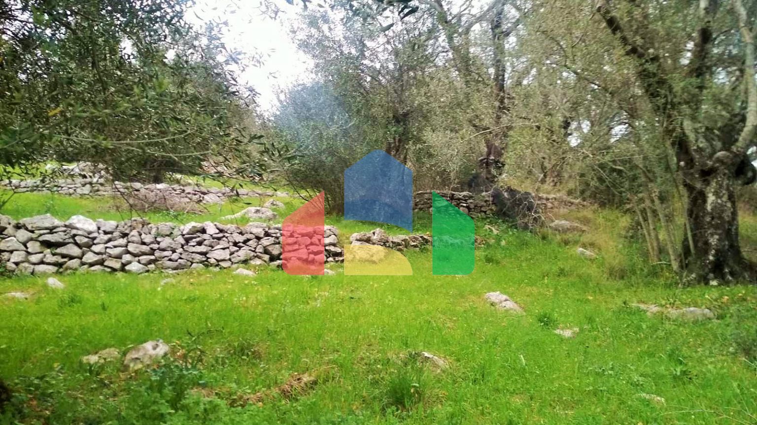 Продаж - Земельна ділянка 4363 m² на о. Корфу