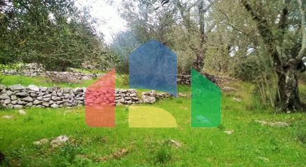 Продаж - Земельна ділянка 4363 m² на о. Корфу