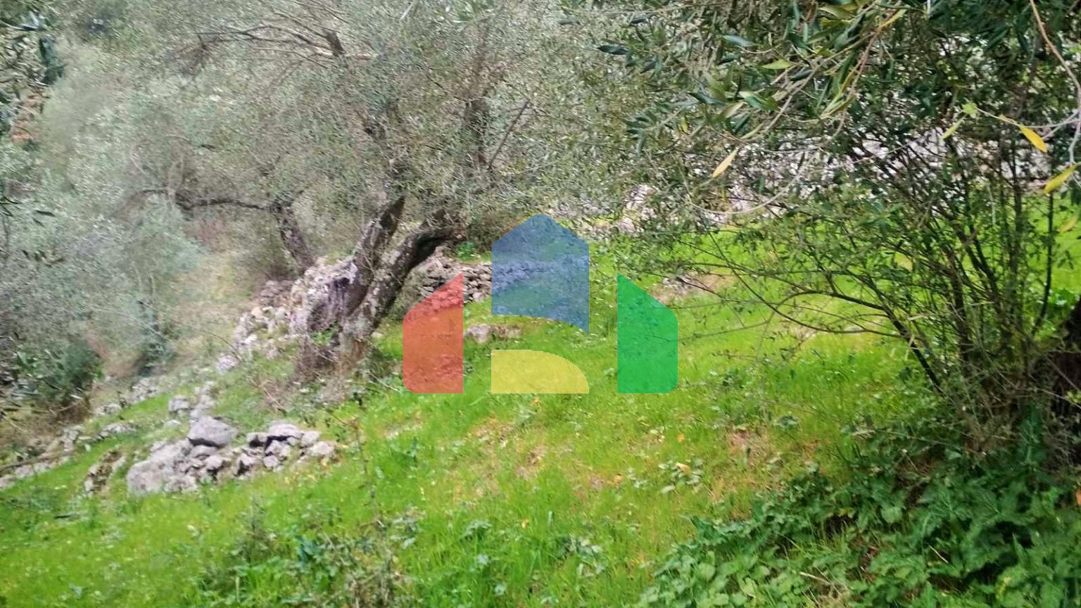 Продаж - Земельна ділянка 4363 m² на о. Корфу