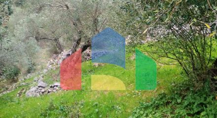 Продаж - Земельна ділянка 4363 m² на о. Корфу