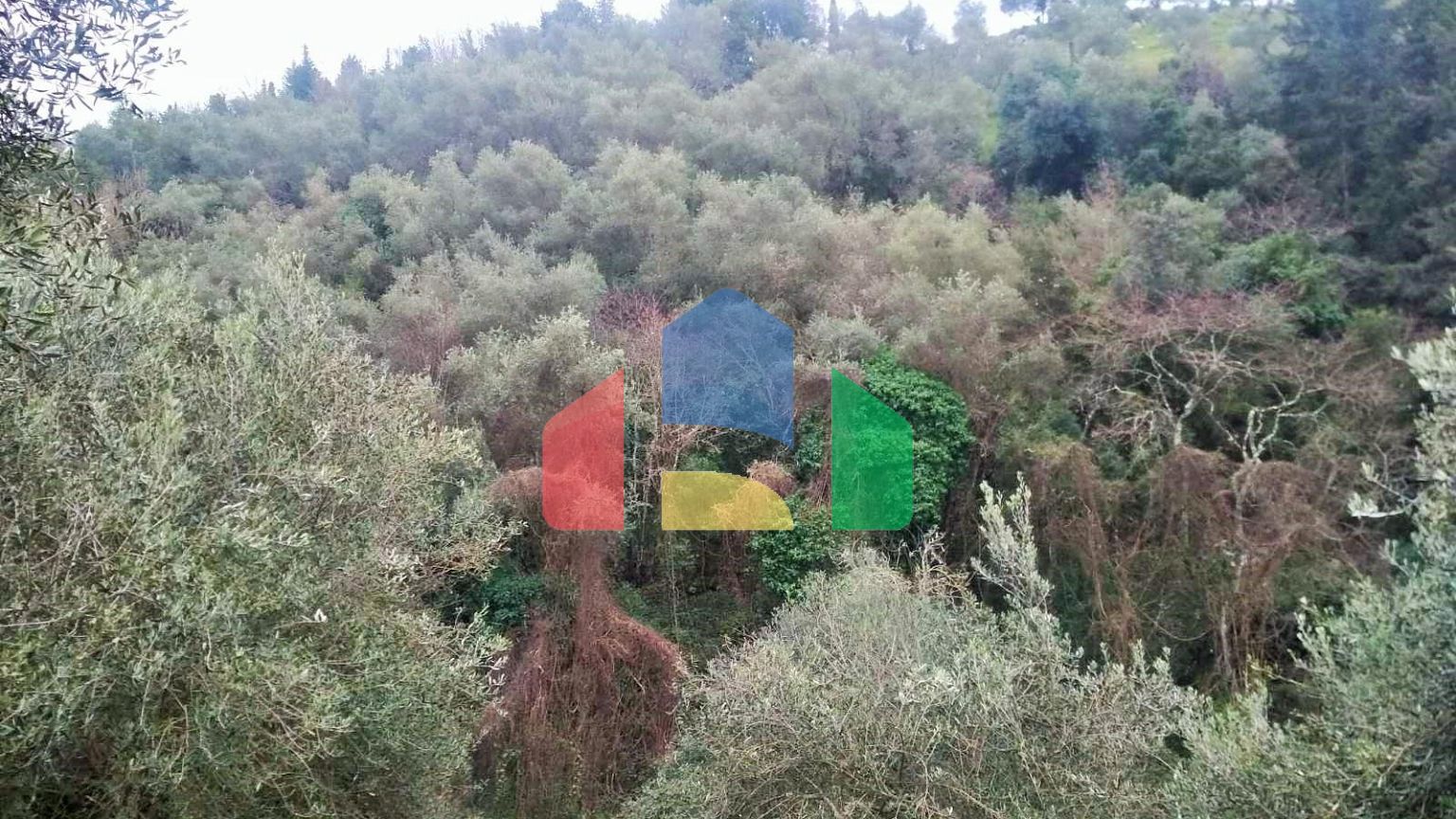 Продаж - Земельна ділянка 4363 m² на о. Корфу