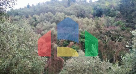 Продаж - Земельна ділянка 4363 m² на о. Корфу