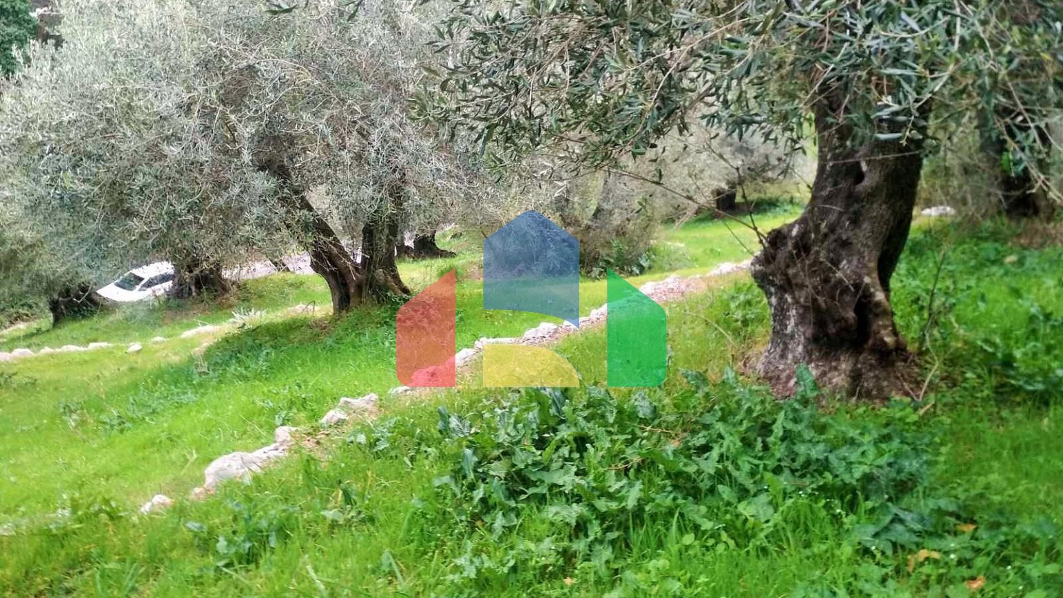 Продаж - Земельна ділянка 4363 m² на о. Корфу