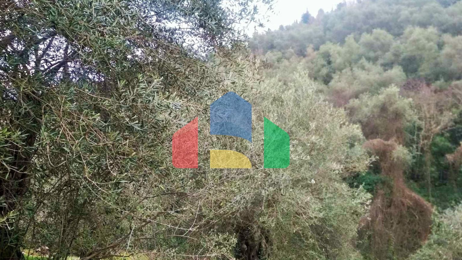 Продаж - Земельна ділянка 4363 m² на о. Корфу