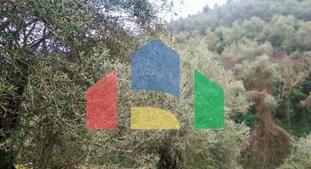 Продаж - Земельна ділянка 4363 m² на о. Корфу