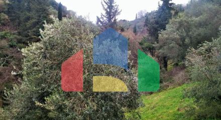 Продаж - Земельна ділянка 4363 m² на о. Корфу