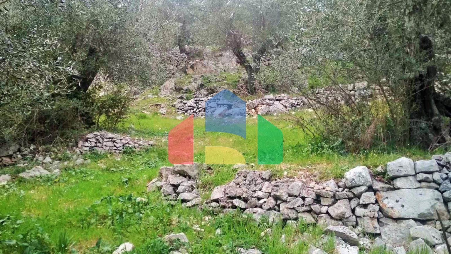 Продаж - Земельна ділянка 4363 m² на о. Корфу