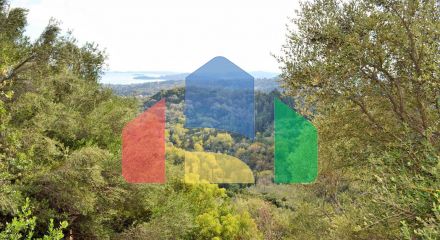 For Sale - Land 14530 m² in Corfu