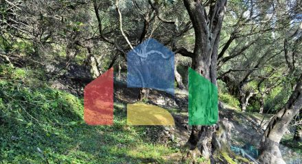 For Sale - Land 14530 m² in Corfu