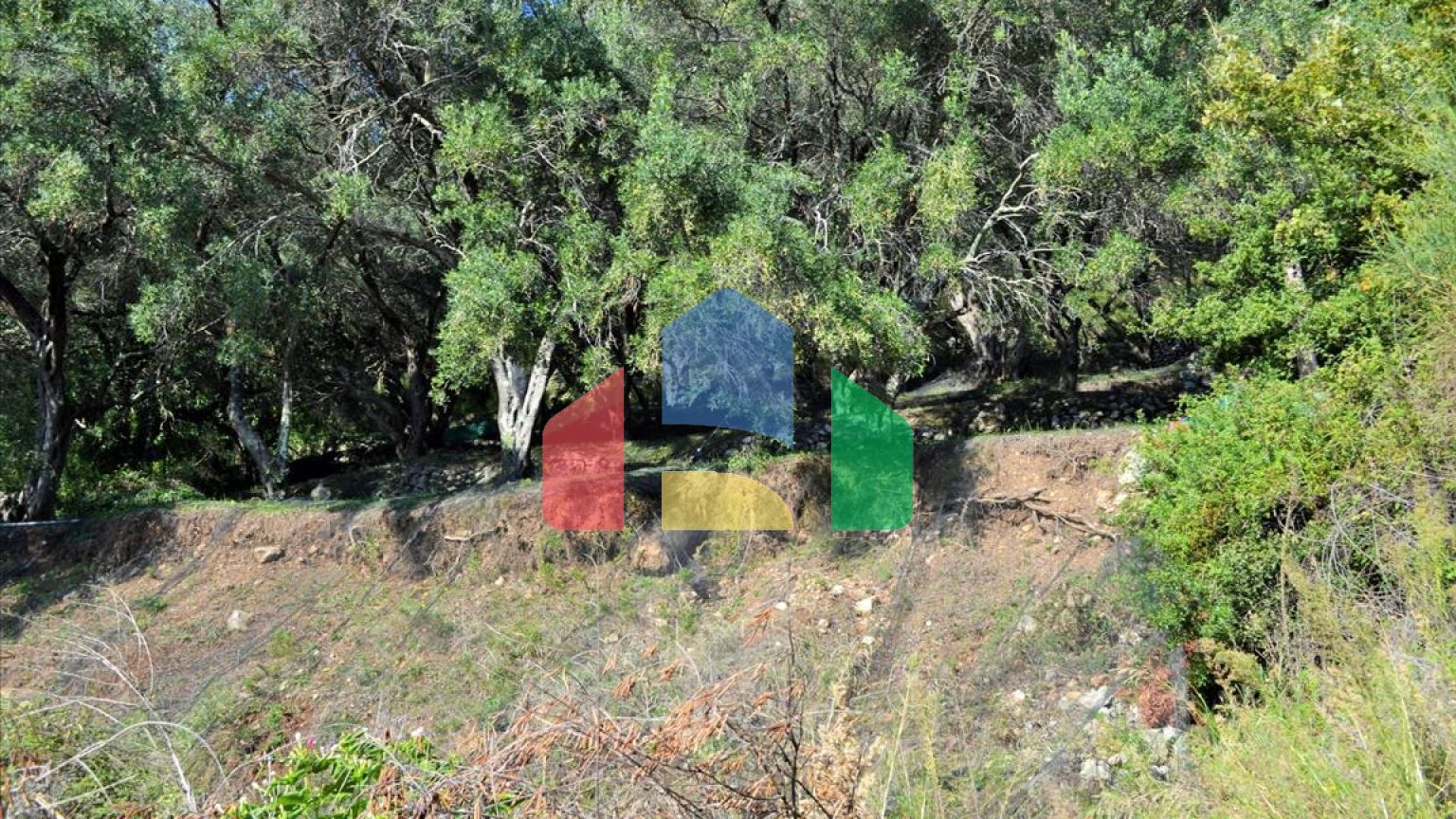 Продаж - Земельна ділянка 14530 m² на о. Корфу