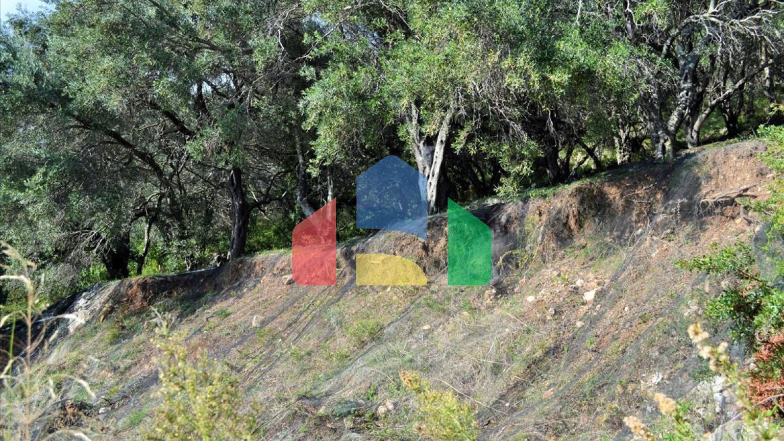 Продаж - Земельна ділянка 14530 m² на о. Корфу