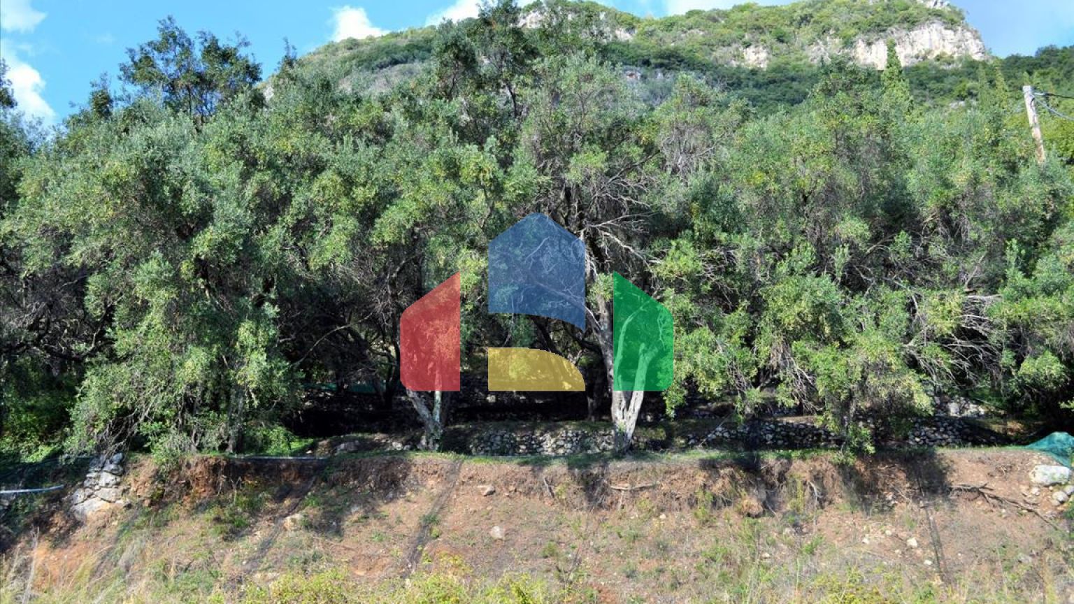 Продаж - Земельна ділянка 14530 m² на о. Корфу