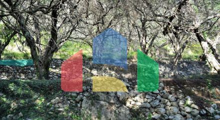 Продаж - Земельна ділянка 14530 m² на о. Корфу